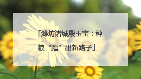 潍坊诸城殷玉宝：种粮“蹚”出新路子