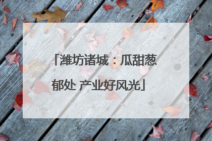 潍坊诸城：瓜甜葱郁处 产业好风光