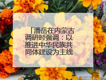 潘岳在内蒙古调研时强调：以推进中华民族共同体建设为主线推动边疆民族地区高质量发展