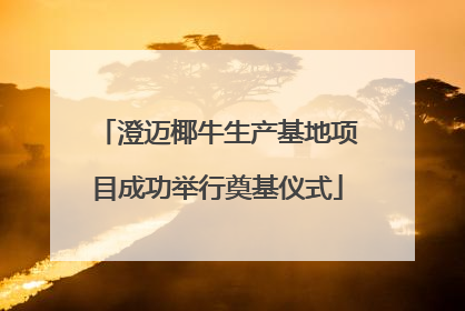 澄迈椰牛生产基地项目成功举行奠基仪式