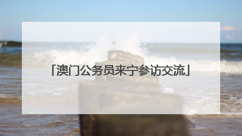 澳门公务员来宁参访交流