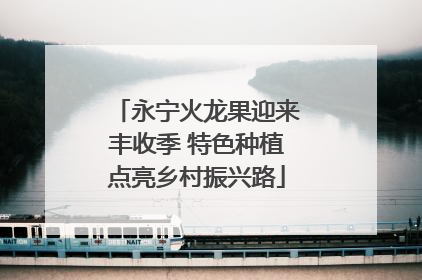 永宁火龙果迎来丰收季 特色种植点亮乡村振兴路