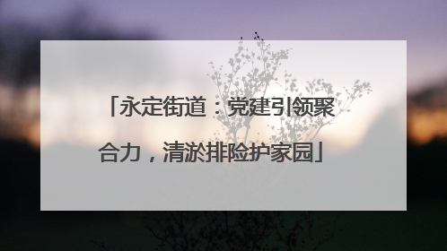 永定街道：党建引领聚合力，清淤排险护家园