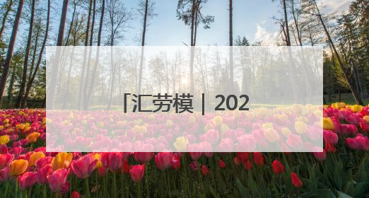 汇劳模｜2025年上海市模范集体——国家税务总局上海市徐汇区税务局第一税务所