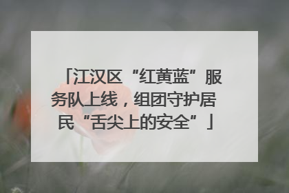 江汉区“红黄蓝”服务队上线，组团守护居民“舌尖上的安全”