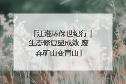 江淮环保世纪行｜生态修复显成效 废弃矿山变青山
