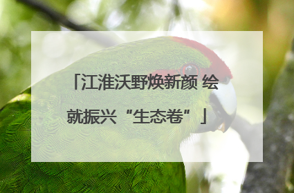 江淮沃野焕新颜 绘就振兴“生态卷”
