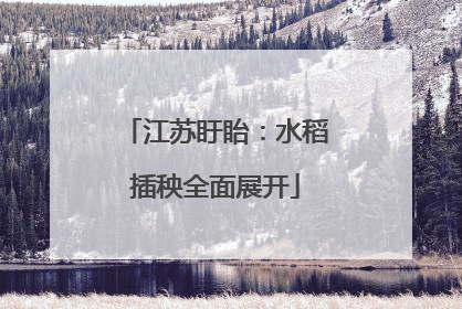 江苏盱眙：水稻插秧全面展开