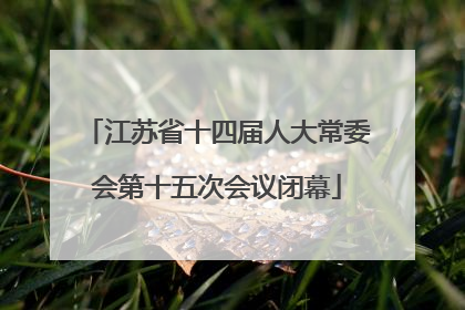 江苏省十四届人大常委会第十五次会议闭幕