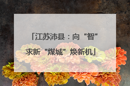 江苏沛县：向“智”求新“煤城”焕新机