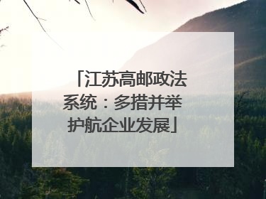 江苏高邮政法系统：多措并举护航企业发展