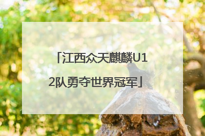 江西众天麒麟U12队勇夺世界冠军