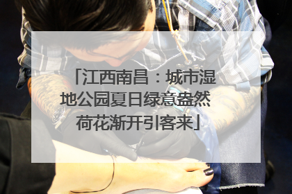 江西南昌：城市湿地公园夏日绿意盎然 荷花渐开引客来