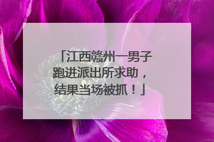 江西赣州一男子跑进派出所求助，结果当场被抓！