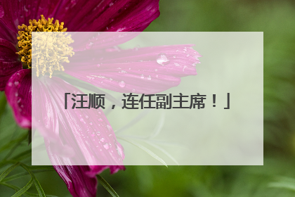 汪顺，连任副主席！