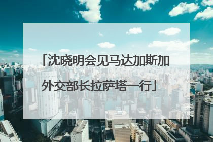 沈晓明会见马达加斯加外交部长拉萨塔一行