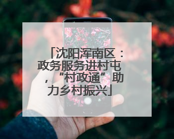 沈阳浑南区：政务服务进村屯，“村政通”助力乡村振兴