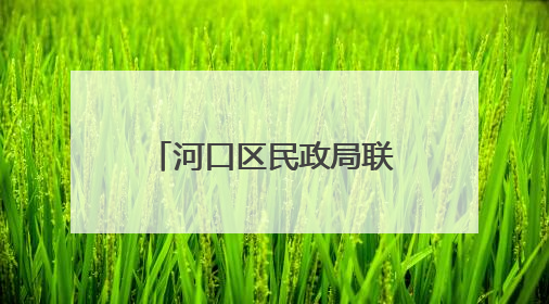 河口区民政局联合志愿服务机构开展端午佳节“乐龄守望”探访活动