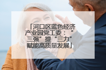 河口区蓝色经济产业园党工委：“三强”提“三力”赋能高质量发展