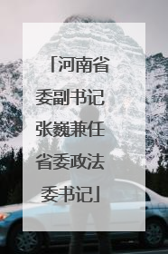 河南省委副书记张巍兼任省委政法委书记
