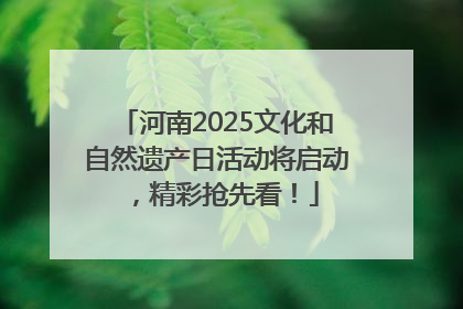 河南2025文化和自然遗产日活动将启动，精彩抢先看！