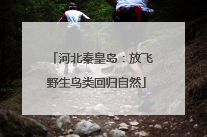 河北秦皇岛：放飞野生鸟类回归自然