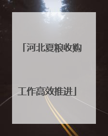 河北夏粮收购工作高效推进