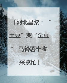 河北昌黎：“土豆”变“金豆” 马铃薯丰收采挖忙