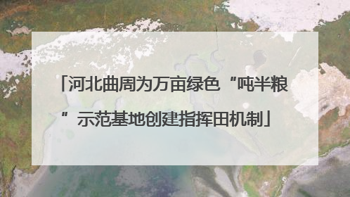 河北曲周为万亩绿色“吨半粮”示范基地创建指挥田机制