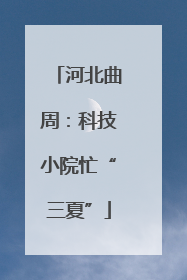 河北曲周：科技小院忙“三夏”
