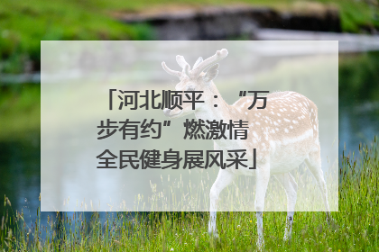 河北顺平：“万步有约”燃激情 全民健身展风采