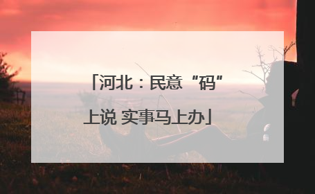 河北：民意“码”上说 实事马上办