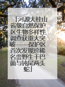 河源大桂山省级自然保护区生物多样性调查获重大突破——保护区首次发现珍稀名贵野生干巴菌与钝尾两头蛇