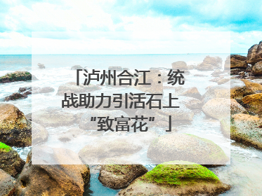 泸州合江：统战助力引活石上“致富花”