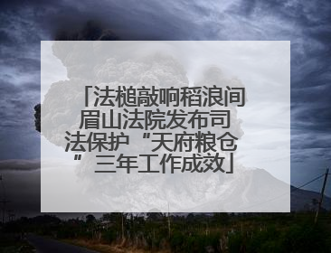 法槌敲响稻浪间 眉山法院发布司法保护“天府粮仓”三年工作成效