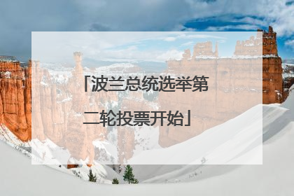 波兰总统选举第二轮投票开始