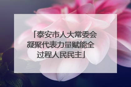 泰安市人大常委会凝聚代表力量赋能全过程人民民主