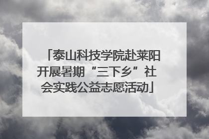 泰山科技学院赴莱阳开展暑期“三下乡”社会实践公益志愿活动
