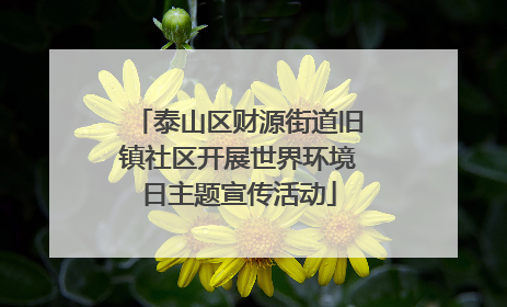 泰山区财源街道旧镇社区开展世界环境日主题宣传活动