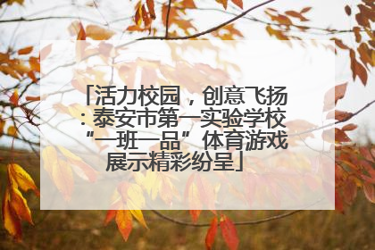活力校园，创意飞扬：泰安市第一实验学校“一班一品”体育游戏展示精彩纷呈