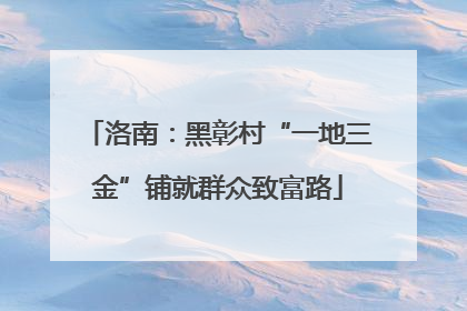 洛南：黑彰村“一地三金”铺就群众致富路