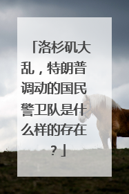 洛杉矶大乱，特朗普调动的国民警卫队是什么样的存在？