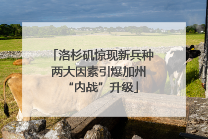 洛杉矶惊现新兵种 两大因素引爆加州“内战”升级