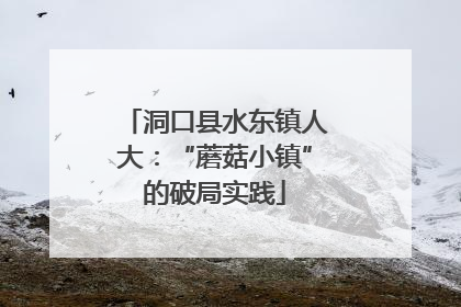 洞口县水东镇人大：“蘑菇小镇”的破局实践
