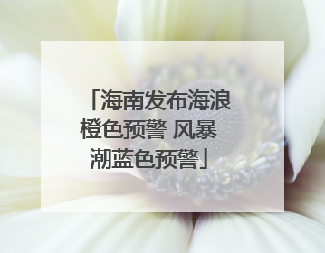 海南发布海浪橙色预警 风暴潮蓝色预警