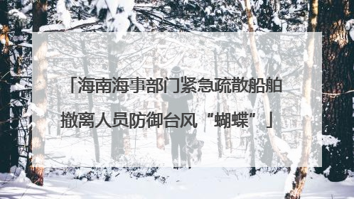 海南海事部门紧急疏散船舶撤离人员防御台风“蝴蝶”