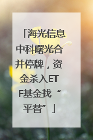 海光信息中科曙光合并停牌，资金杀入ETF基金找“平替”