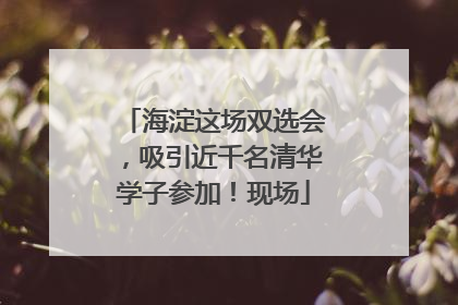 海淀这场双选会，吸引近千名清华学子参加！现场