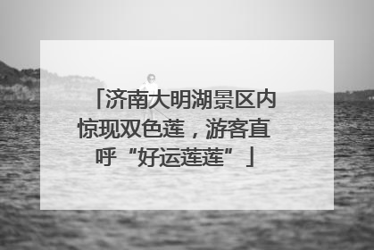 济南大明湖景区内惊现双色莲，游客直呼“好运莲莲”