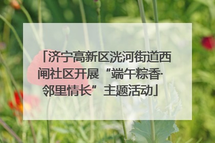 济宁高新区洸河街道西闸社区开展“端午粽香·邻里情长”主题活动